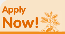 Apply now for Master in Food Culture and Communications