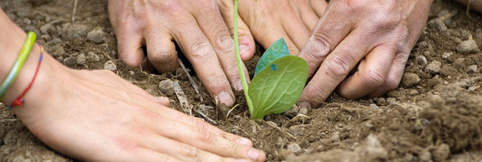 Life at Unisg | Youth Food Movement