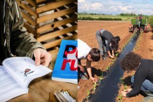La Ricerca Unisg contribuisce al raggiungimento degli Obiettivi di Sviluppo Sostenibile