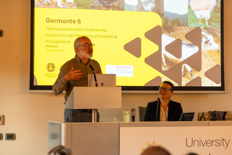 università scienze gastronomiche