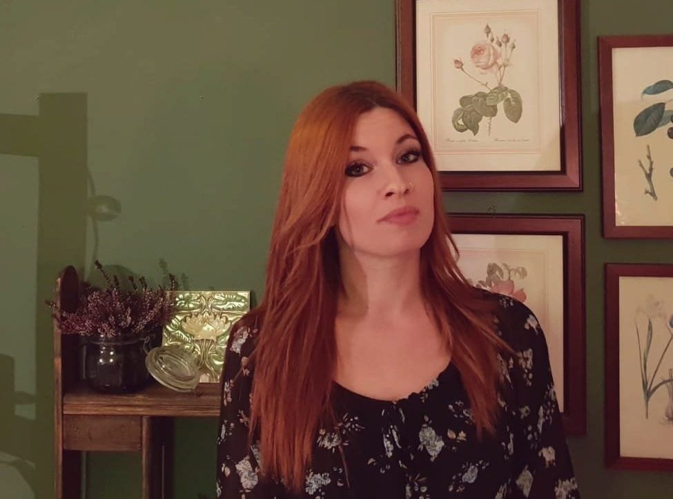 Declaration of authorship hsg picture