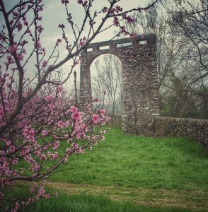 Il culto dell’attesa: storia dell’Azienda Agricola Fontana