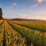 Food Industry Monitor
