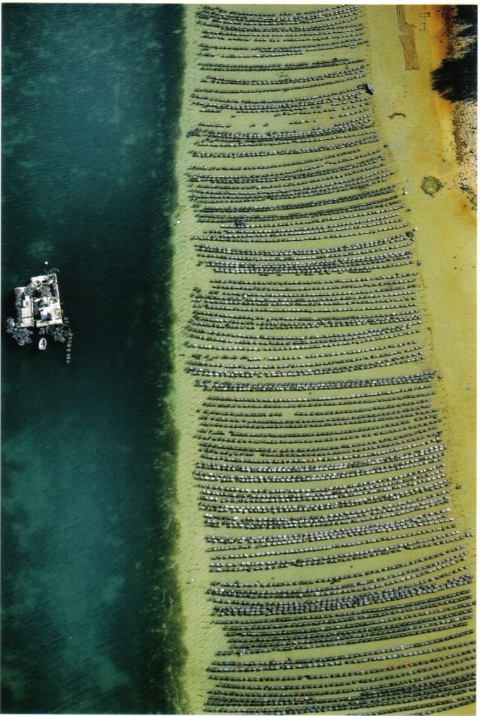 Oyster Farm Aerial Photo