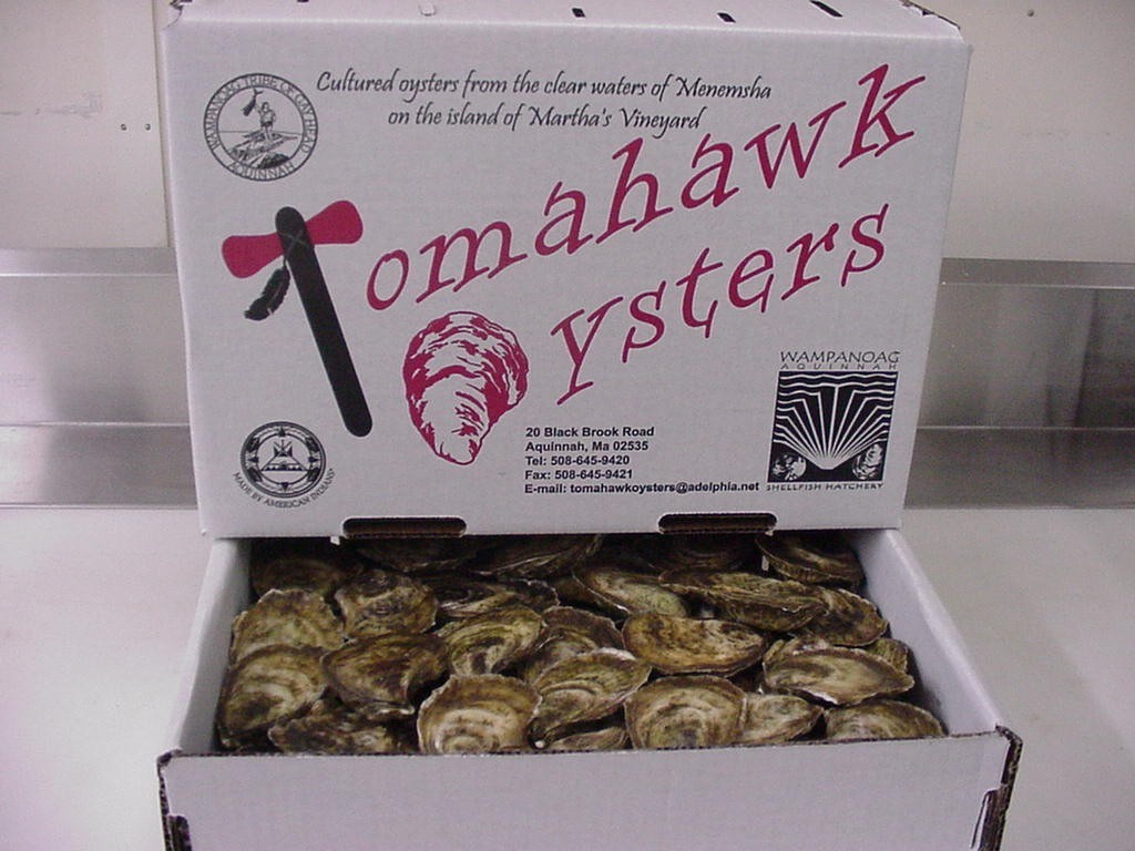 Wampanoag - Oysters and Box