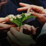 Inizio prima edizione del Master in Agroecology and Food Sovereignty