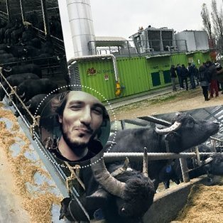 Dai diamanti non nasce niente, dal letame tantissimo biogas