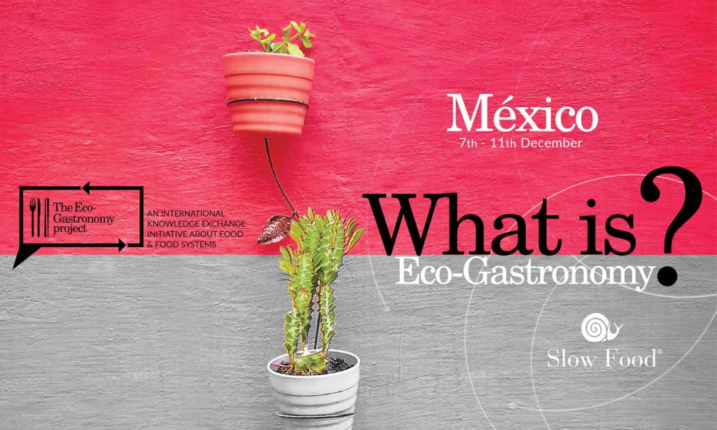 ecogastronomy mexico city banner
