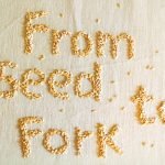 From seeds to fork - Dai semi alla tavola
