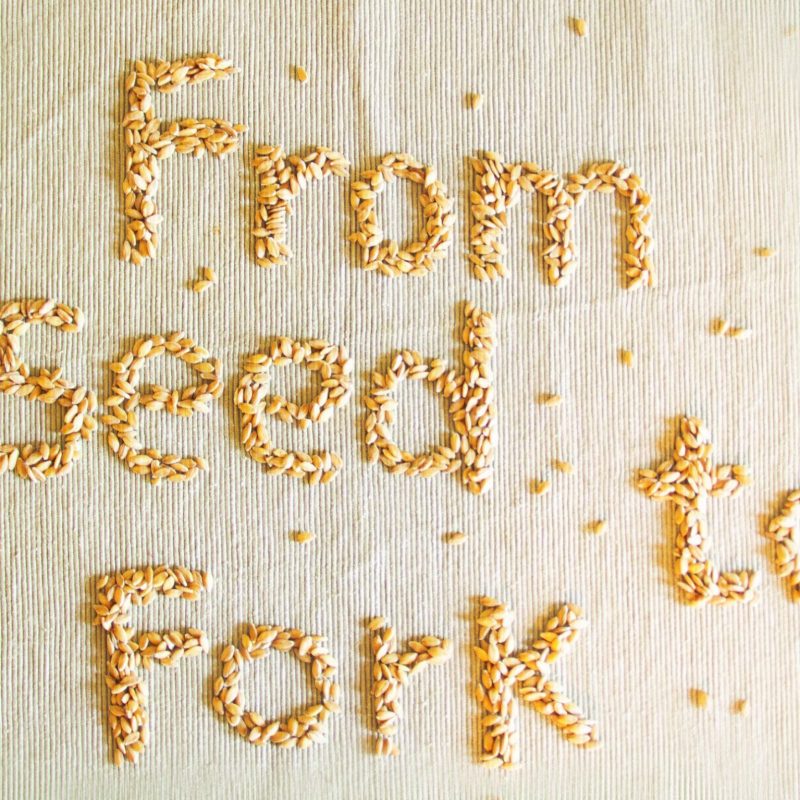 From seeds to fork - Dai semi alla tavola