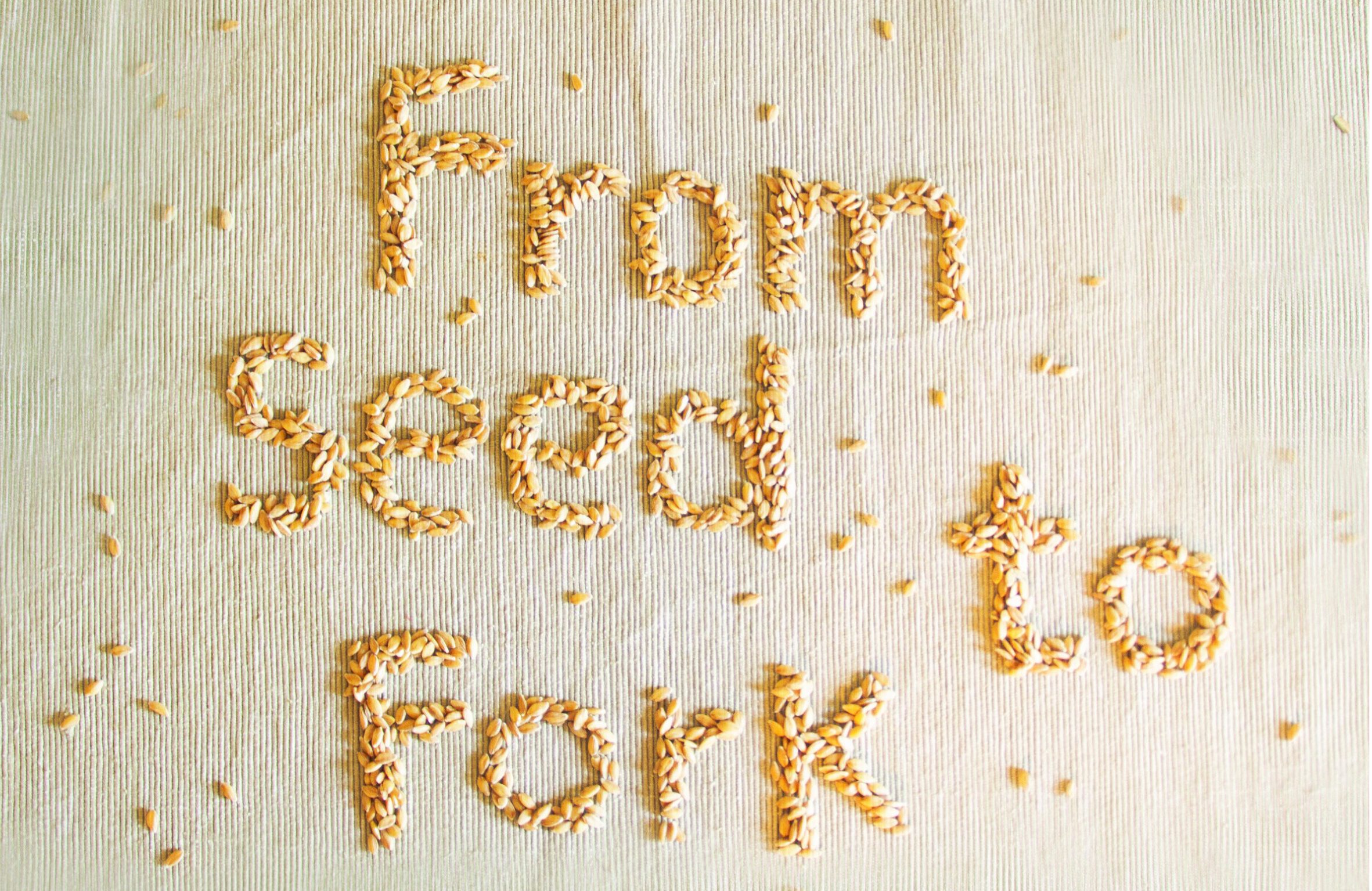 From seeds to fork - Dai semi alla tavola