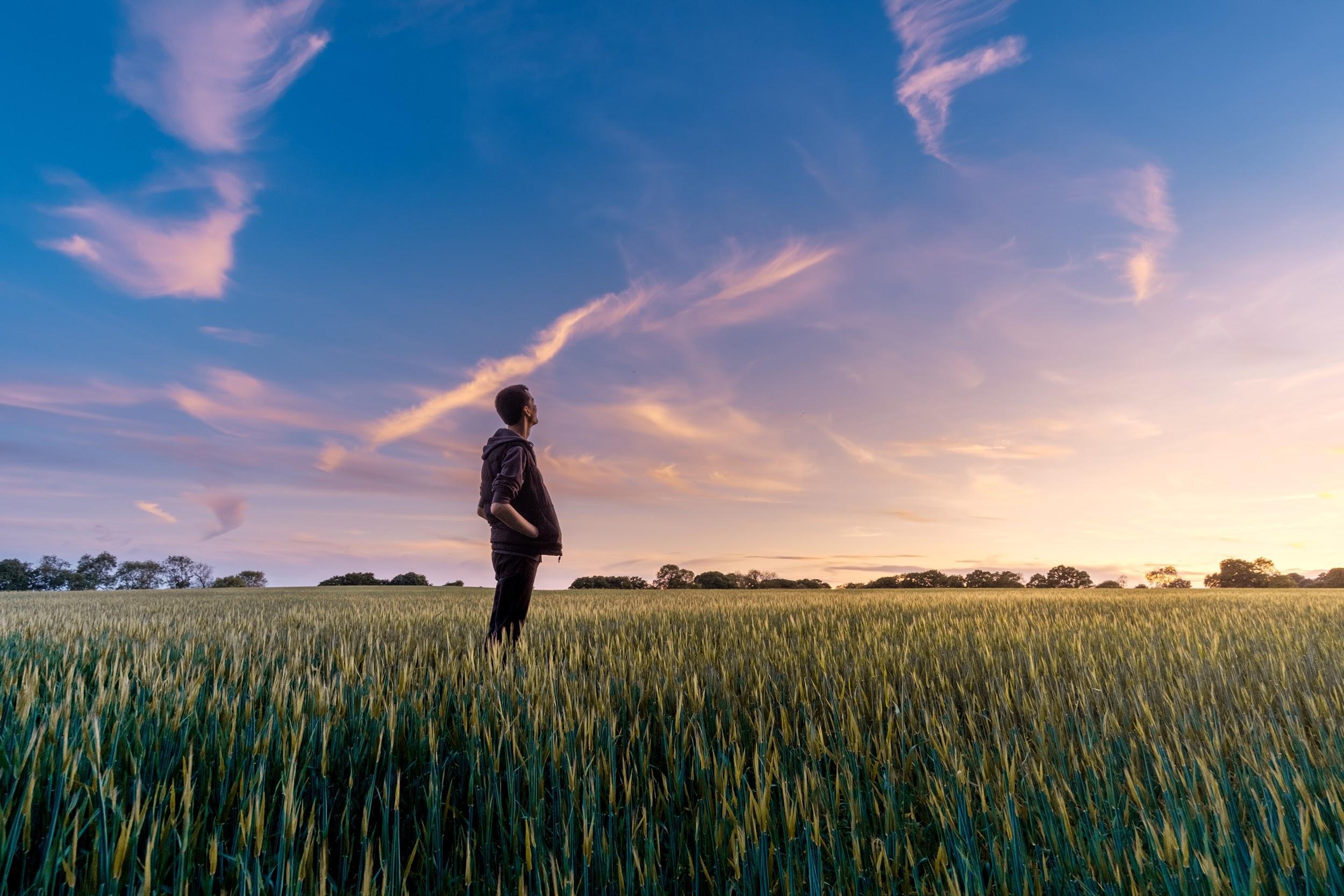 Food Industry Monitor 2020