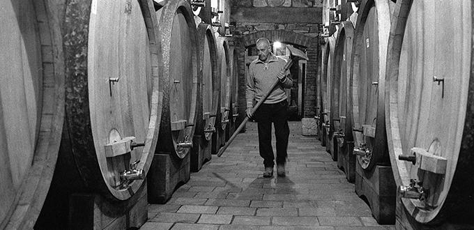 gravner (8)