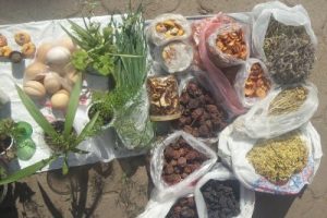 “War also puts biodiversity, traditional gastronomic heritage and local culture at risk” The field research and the Atlas of Products of Ukraine project conducted by UNISG in the words of prof. Andrea Pieroni