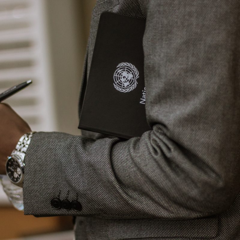 Model United Nations - UNISG Edition