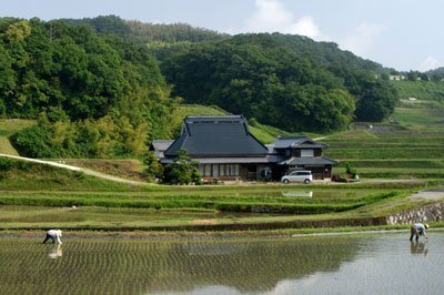Spring course in Kobe, Japan