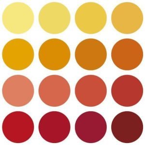 Uomo + uva = vino. Cronache da Live Wine 2016
