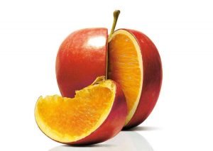 Cibo Bio & OGM… facciamo il punto – 1° parte