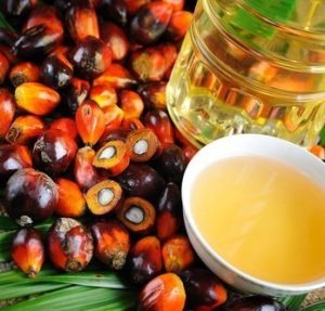 Olio di palma: facciamo chiarezza