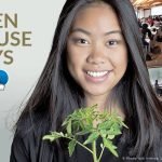 Online Open Day