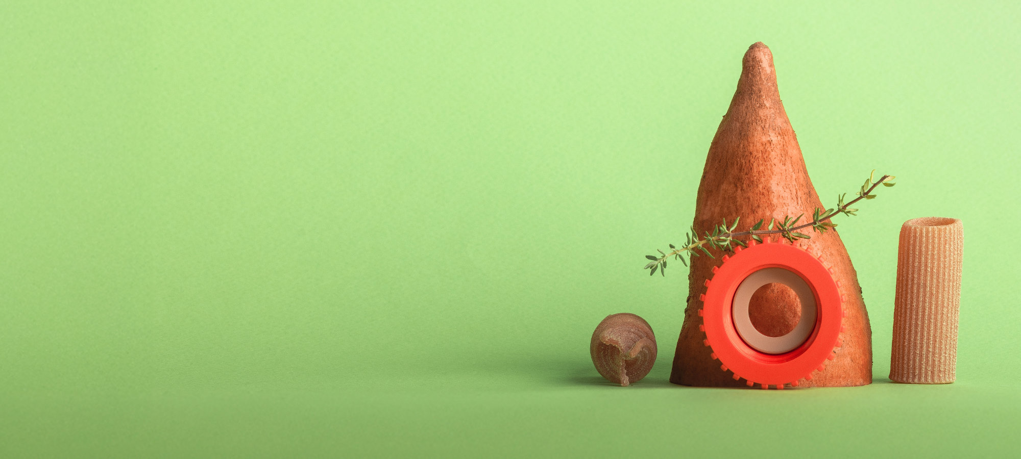 Undergraduate Degree in <br>Food Tech for Ecological Transition 