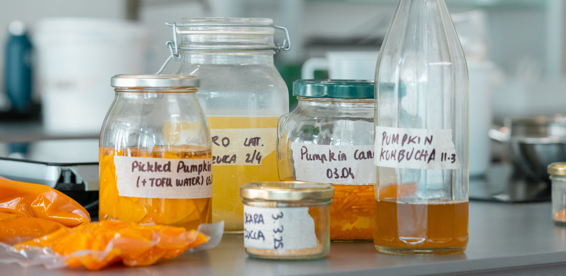 The Art of Fermentation: <br>Where Tradition Meets Science