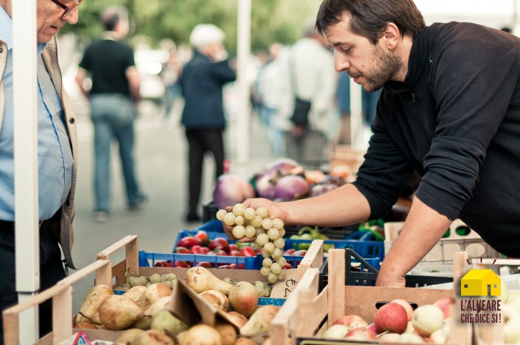produttore Alveare