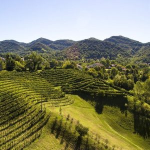 The saddest kind of wine writing: Tabloid journalism
