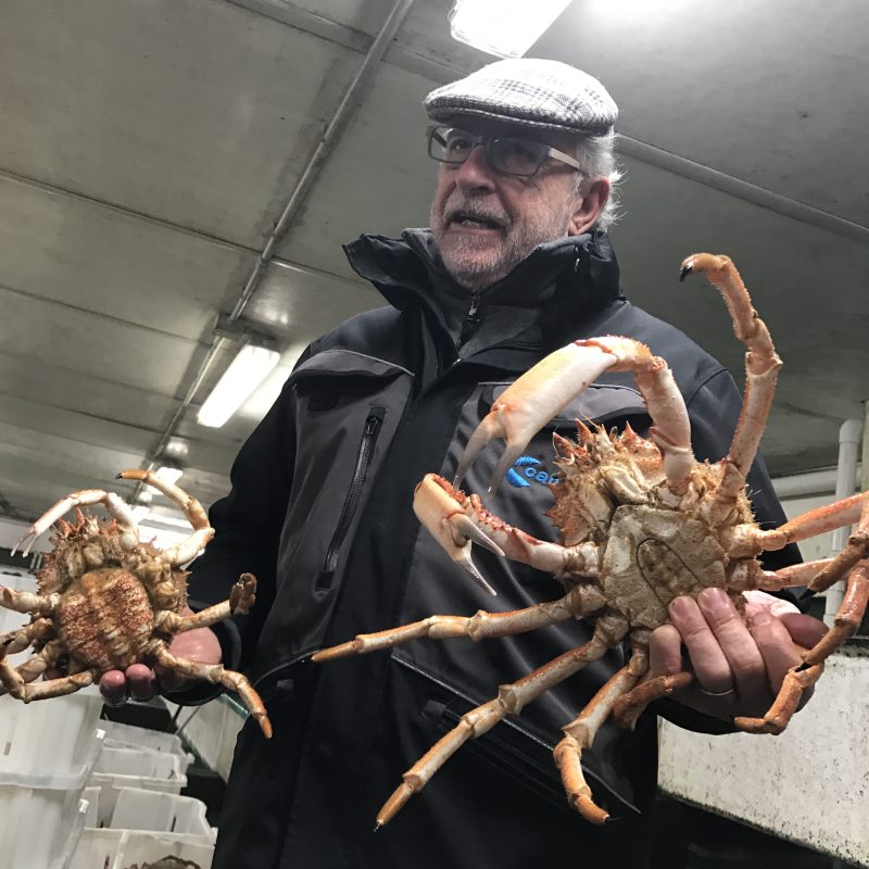 Pulita dentro e bella fuori, la cozza di Chioggia