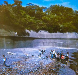 toba (5)