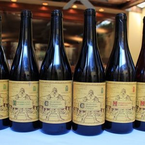 Pinot Grigio effect: American wine media and its disconnect with the Italian wine media